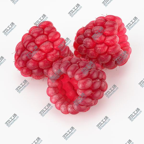 images/goods_img/20210312/Realistic Raspberry/4.jpg